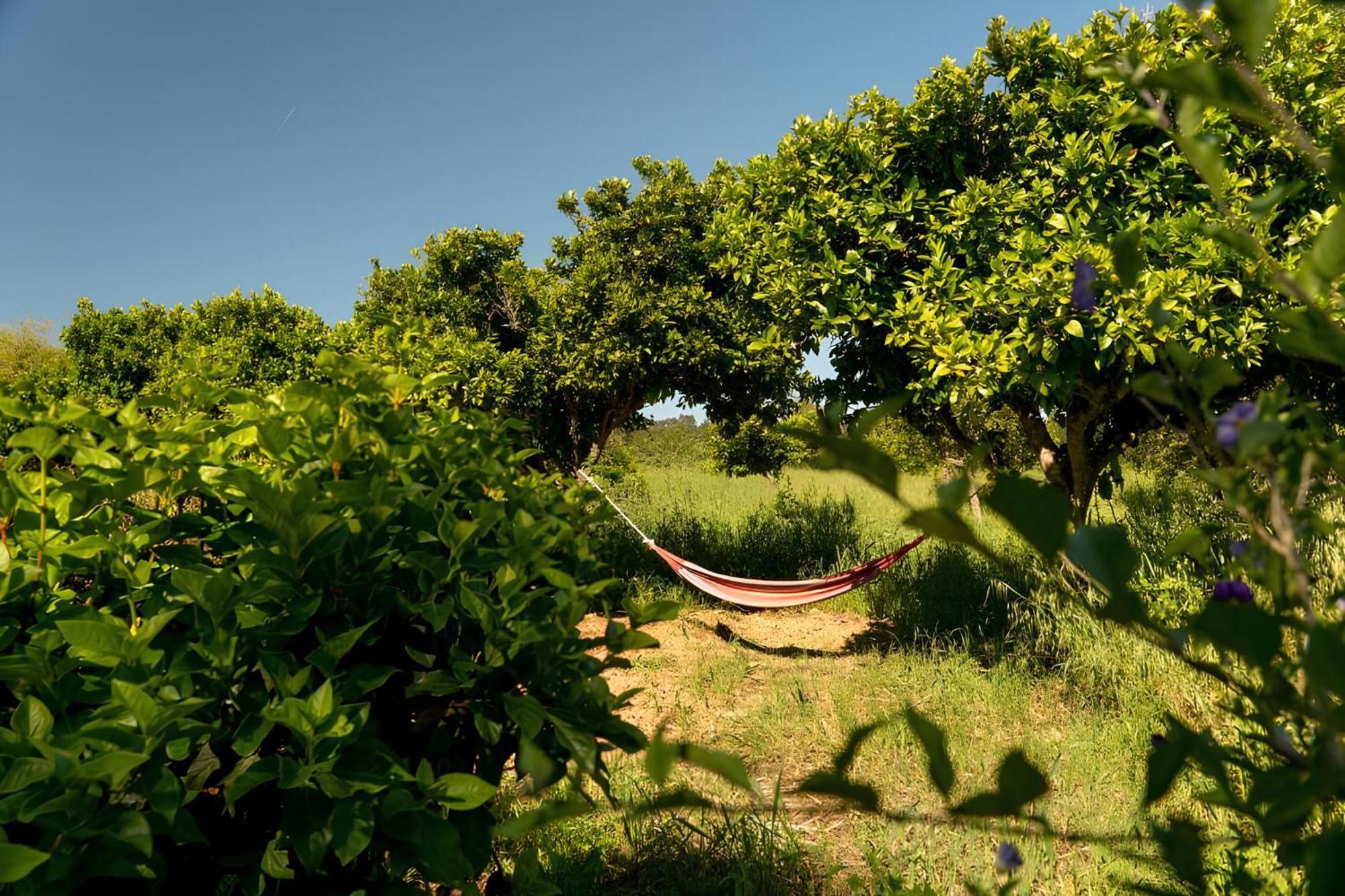 Naturarte Campo - Duna Parque & Gasthuis São Luís